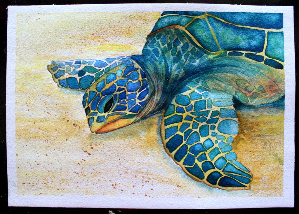 Sea Turtle Painting